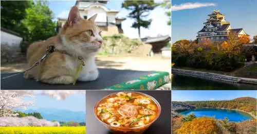 台灣虎航直飛日本三城攻略上線　秋田岡山宮崎玩法一次看