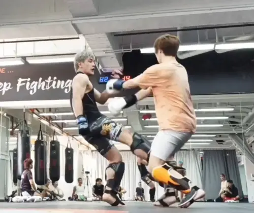 陳勇正對決日本綜合格鬥選手青柳克明　實戰差異引發關注