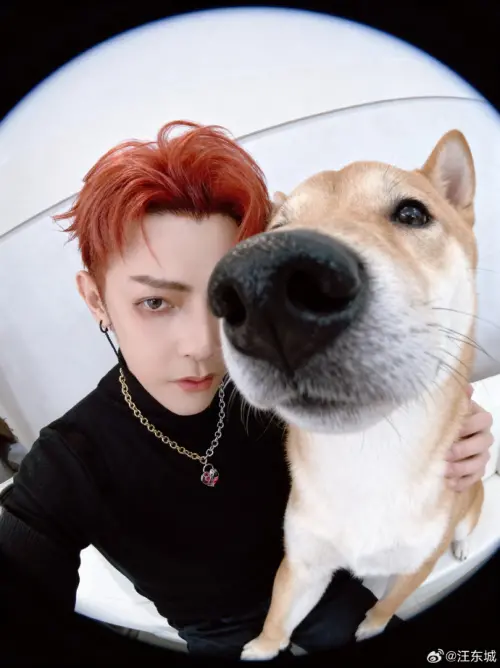 ▲汪東城發文退出演藝圈。（圖／翻攝自汪東城微博）