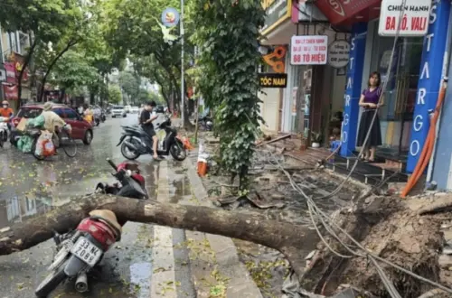 北越暴風重創！雷擊和冰雹奪走四命　越南數百房屋受損
