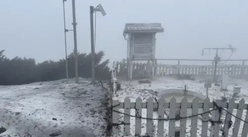 ▲玉山氣象站在今（1）日上午11時30分開始出現降雪，且雪勢持續30分鐘。（圖／玉山氣象站提供）