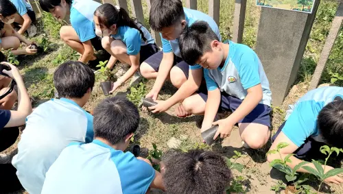 ▲歐德集團與雲林中正國小學生種下桂花樹與光臘樹，不僅美化環境，更為孩子上了一堂生命教育課，攜手守護綠色未來。（圖／歐德提供）