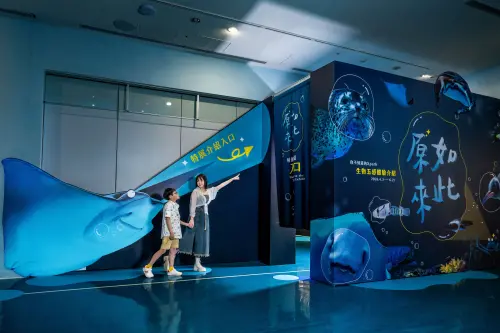 ▲Xpark於4月3日至6月21日Xpark春季探索《原來如此！！你所不知道的Xpark》。（圖／Xpark提供）