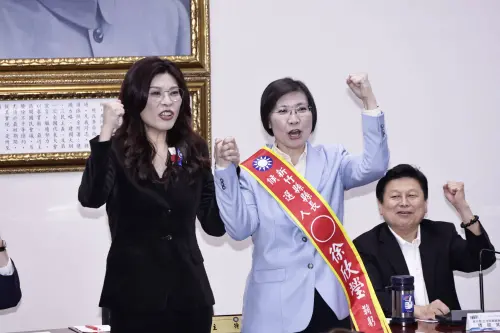 徐欣瑩認了！見不到陳見賢　鄭麗文：身為黨主席會擔負整合力量