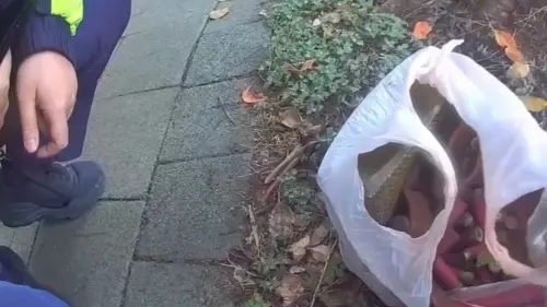 民生社區驚見詭異塑膠袋！一開竟是「114枚霰彈槍子彈」他急報警