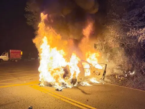 桃園虎頭山驚魂！男失控撞電桿OHCA　友急救出他「下秒車變火球」