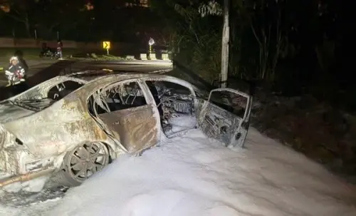 ▲3月31日一名男子在虎頭山失控自撞電線桿後沒了呼吸心跳，友人見狀立刻將他拖出車外，下一秒車子竟起火燃燒，火勢撲滅後車子也成了廢鐵。（圖／消防提供）