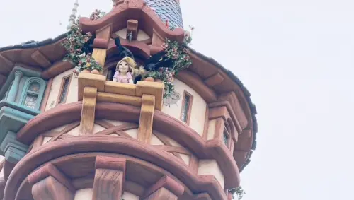 童話破滅？東京迪士尼海洋樂佩公主遭烏鴉「搶頭髮」　洗劫畫面曝