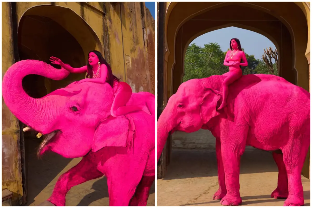 ▲俄羅斯攝影師布魯列娃（Julia Buruleva）因為這組「粉紅大象」藝術照引發爭議，大象在拍攝完成的數個月後死亡，讓布魯列娃為此遭到許多動保人士批評。（圖／翻攝自Julia Buruleva的IG）