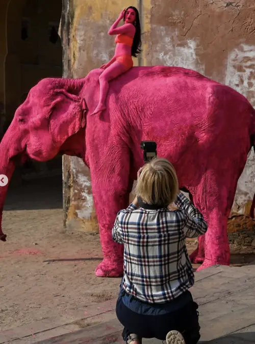 ▲俄羅斯攝影師布魯列娃（Julia Buruleva）因為這組「粉紅大象」藝術照引發爭議。（圖／翻攝自Julia Buruleva的IG）