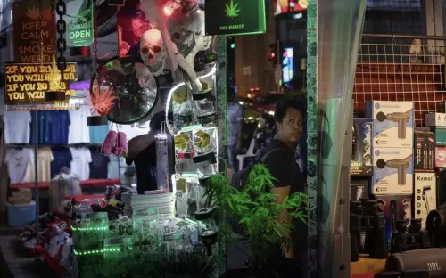 泰國收緊大麻政策　要求商店3年內轉型醫療診所全面納管