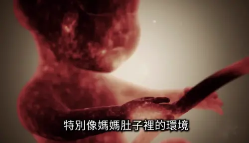 ▲那些被家人遺忘、快要消失的孤魂野鬼，集中在隧道、湖泊旁，只是想尋求安全感。（圖／老高與小茉 Mr & Mrs Gao YouTube）