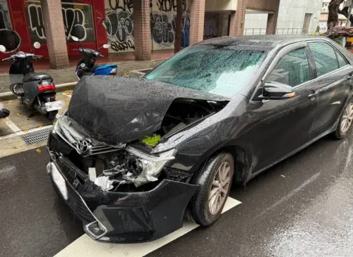 ▲台北大安區基隆路3日早上路旁人行道大樹突然倒塌，前車急煞避險，後方計程車煞車不及追撞，所幸無人受傷，現場一度回堵。（圖／翻攝畫面）