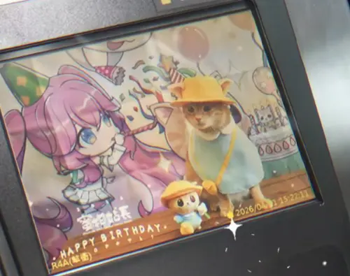 高雄貓站長蜜柑生日！捷運站「喵聲四起」萌爆了：場面混亂又迷人