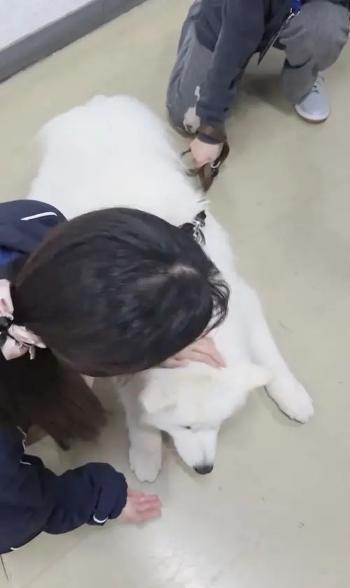 ▲李珠珢碰到神犬萊芙，開心撫摸著牠的頸背。（圖／摘自 IG@0724.32）