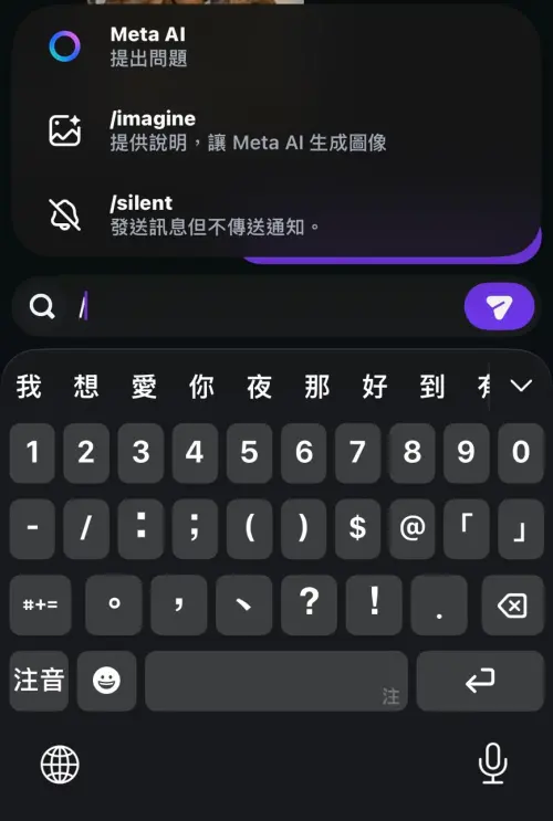 ▲Instagram 的訊息功能也有無聲傳訊的功能，只要在手機版的對話框中打上「/」，就會出現3種選項。（圖／記者潘毅攝）