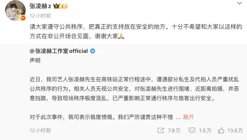 ▲張凌赫爆紅，隨之而來的是代拍和私生飯的跟隨。（圖／翻攝自微博）