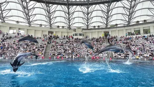 ▲《跳浪奇緣》是花蓮海洋公園招牌秀。（圖／遠雄海洋公園提供）