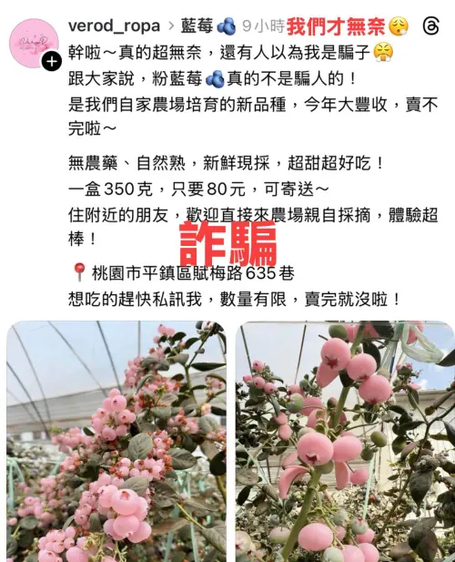 ▲詐騙集團冒充藍莓業者，不僅標示真實農場地址，還以貨到付款降低戒心，甚至引導受害者進行「實名認證」與提供銀行資訊。（圖／臉書粉專「藍莓果果 在欉熟鮮採藍莓」）