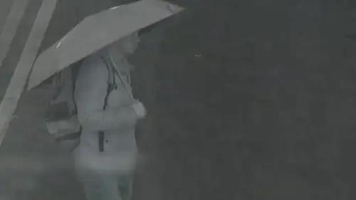 身首分離慘死新北大道！死者生前孤影成謎　遺物「留一雙白手套」