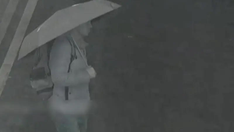 身首分離慘死新北大道!死者生前孤影成謎 遺物「留一雙白手套」