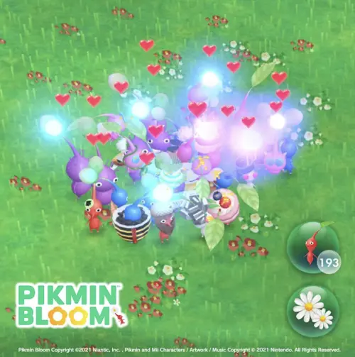 ▲《Pikmin Bloom》中，玩家可以透過走路、解任務收集各種皮克敏。（圖／《Pikmin Bloom》官網）