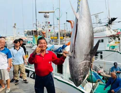 ▲東港第一鮪由琉球籍漁船「富漁慶2號」，船長洪福家於4月5日在台灣西南方海域捕獲。（圖／屏東縣府提供）