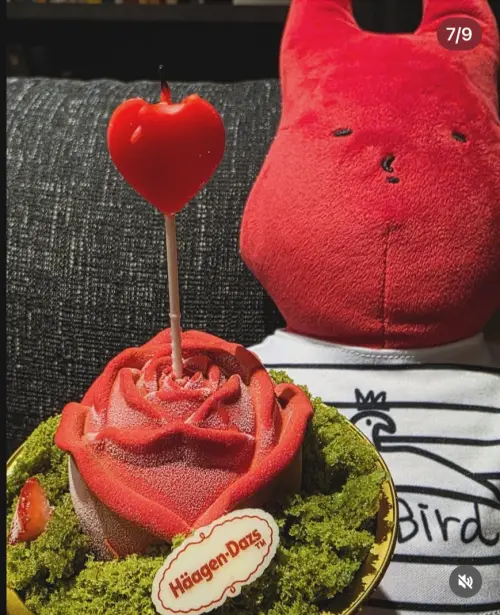 ▲黃鴻升的公仔娃娃「666」陪伴其親妹妹慶生。（圖／翻攝自IG＠teen520）