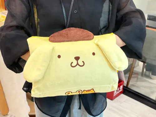 ▲三用親膚靠枕加價購349元。（圖／記者鍾怡婷攝）