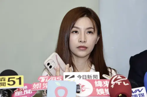 ▲林倪安（如圖）指控朱宇謀酒駕、性侵、暴力行為。（圖／記者吳翊緁攝影）