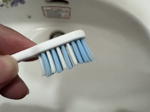 ▲牙刷其實每 2-3 個月就該更換一次，如果出現刷毛開花等現象，更是要直接換新。（圖／記者潘毅攝）