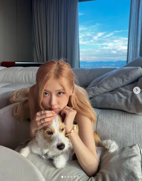 ▲Rosé的豪宅有大片落地窗，採光和風景都很不錯。（圖／Rosé IG@roses_are_rosie）