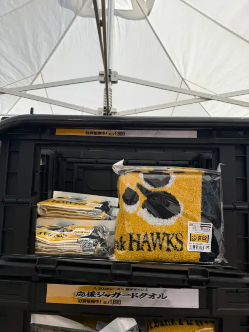 ▲買不到徐若熙18號球衣，球迷只能改買印有名字的應援毛巾過過癮。（圖／記者陳柏翰攝）