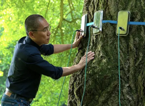 ▲梁朝偉（右）在《你是不會當樹嗎》幫銀杏樹完成第一次的性體驗，情節很特別。（圖／海鵬提供）