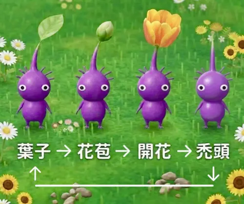 ▲在《Pikmin Bloom》中，皮克敏會有「葉子、花苞、開花、禿頭」4種型態。（圖／翻攝Threads）
