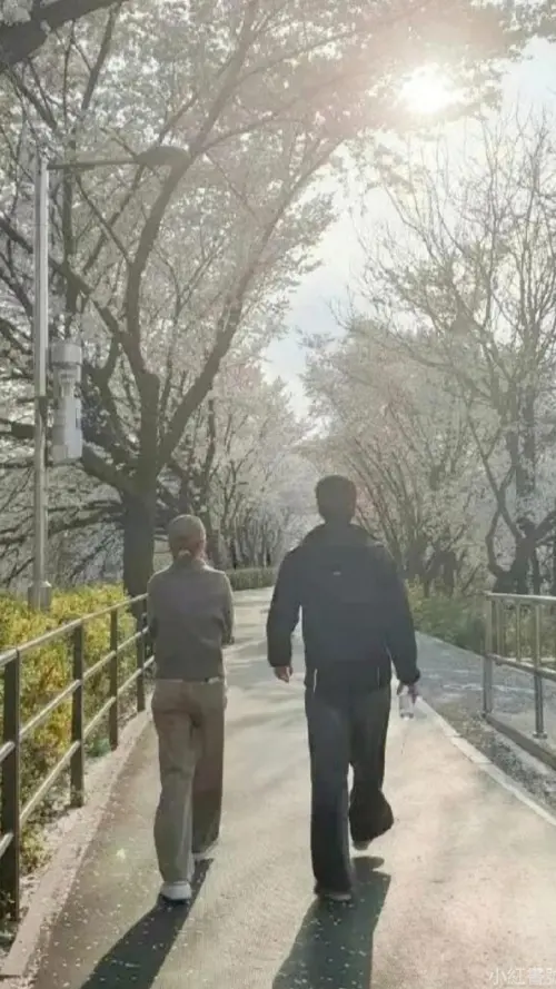 ▲何超蓮（左）與竇驍（右）背對鏡頭一同抬頭賞櫻，破除婚變聲浪。（圖／翻攝自何超蓮小紅書）