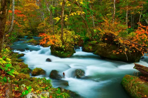 ▲青森可搭配北海道或仙台雙點進出，符合目前旅客一次玩多處景點的嚮往。（圖／易遊網提供）