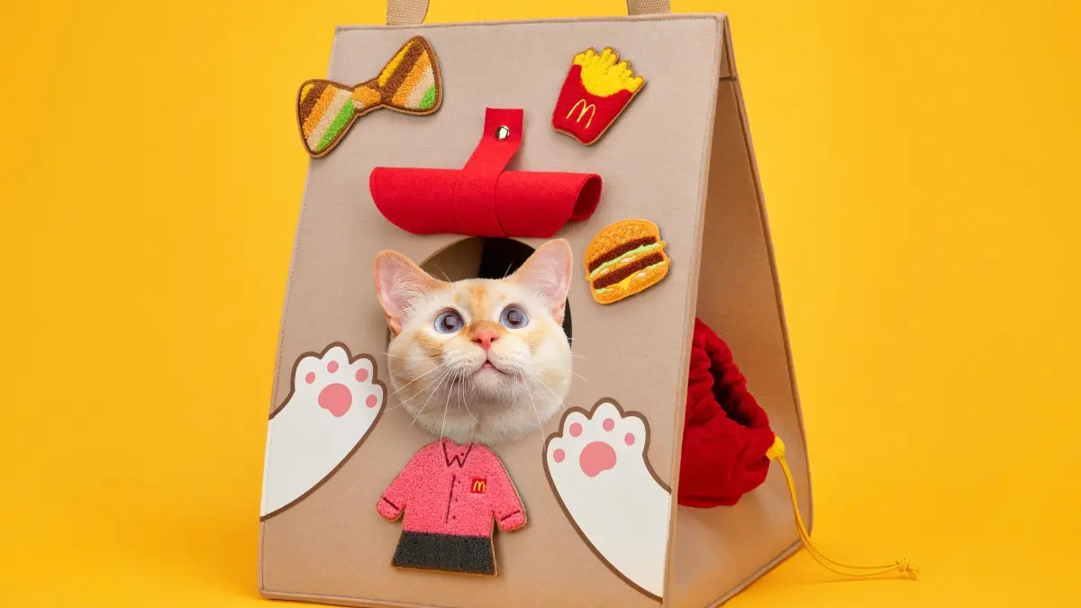 ▲4月最新麥當勞買一送一速食優惠，APP全新麥粉市集開賣「萌貓套餐」麥麥貓窩袋、麥麥萌背包4大包袋，天天「買大送小」轉盤優惠抽獎。漢堡王「蔬菜犇牛堡」今開賣。（圖／麥當勞提供）
