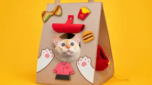 麥當勞買一送一！開賣「萌貓套餐」四大包袋　天天轉盤速食優惠