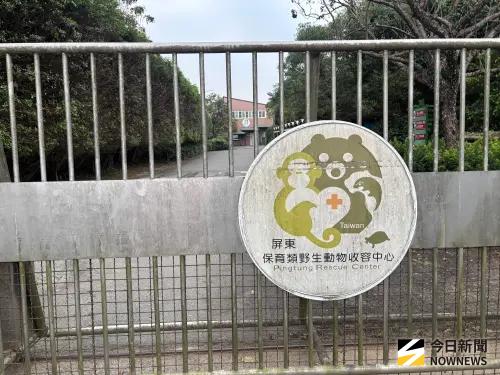 獅虎阿彪、張大千的長臂猿　屏科大校園的悲傷「動物園」