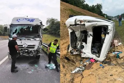 救援路上變災難！25隻毛孩車禍四散　志工當場抱狗痛哭