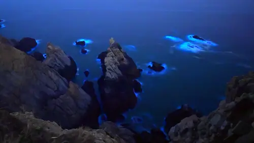 ▲每年4至6月為馬祖藍眼淚最佳觀賞期，夜海微光閃耀海面，呈現馬祖最具代表性的夢幻景致，吸引旅客登島追淚追光。（圖／船老大鄭智新提供）