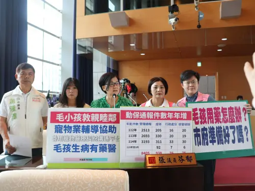 毛小孩用藥新制卡關　議員促簡化流程減少糾紛