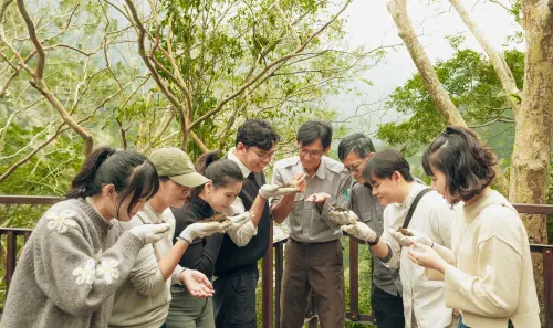 ▲太魯閣晶英酒店將於每週六上午推出《布洛灣森域工作坊》，獨家帶領旅人走入尚未對外開放的山林場域。（圖／太魯閣晶英提供 member.silkshotelgroup.com/SPTK）