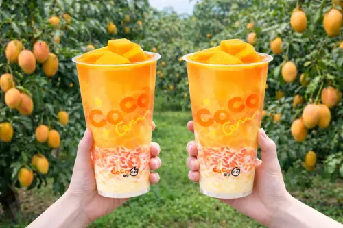 CoCo買一送一！楊枝甘露2杯99元　水巷茶弄買一送一、珍煮丹85折