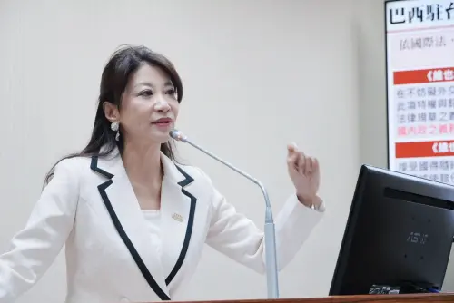 巴西駐台代表喊一中！綠委籲經濟反制　外交部：研議進一步動作