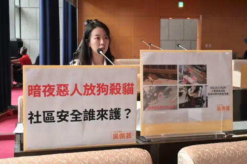 中市「獵犬集團」跨區獵殺街貓　議員：疑人為操控