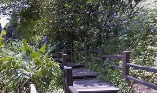 台中知名登山步道大坑9號驚見屍體！60歲男倒臥車旁　調查死因中