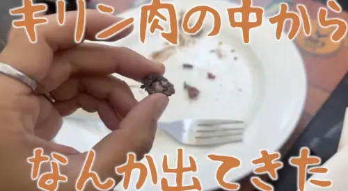 ▲日本網紅夫妻在非洲玩時吃到子彈碎片。（圖／とったび日和YT）