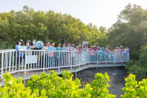 ▲「林園紅樹林生態區」步道可欣賞潮間帶豐富的生態系。（圖／高雄觀光局）